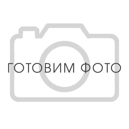 4061301000 Фильтр сепаратор